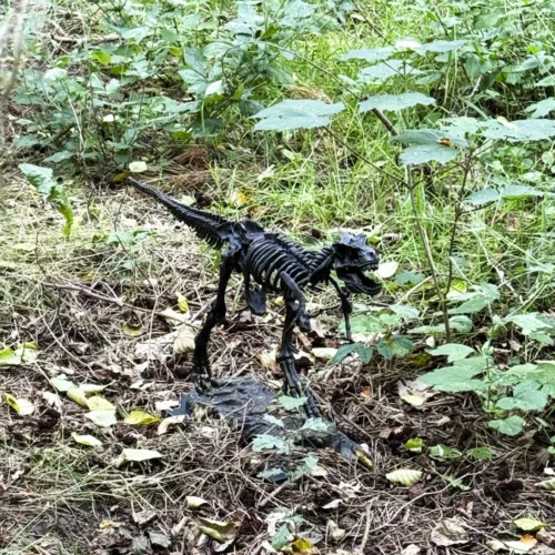 Tyrannosaurus rex (ikke til salg)