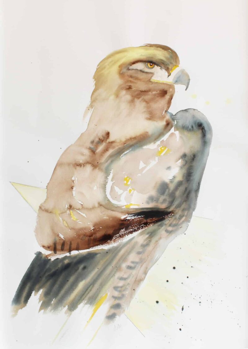 Rovfuglemotiv (48 * 65 cm). Akvarel af Antje Fries Harsberg