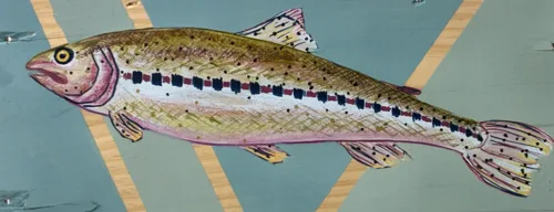 Akrylmaleri af ørrede