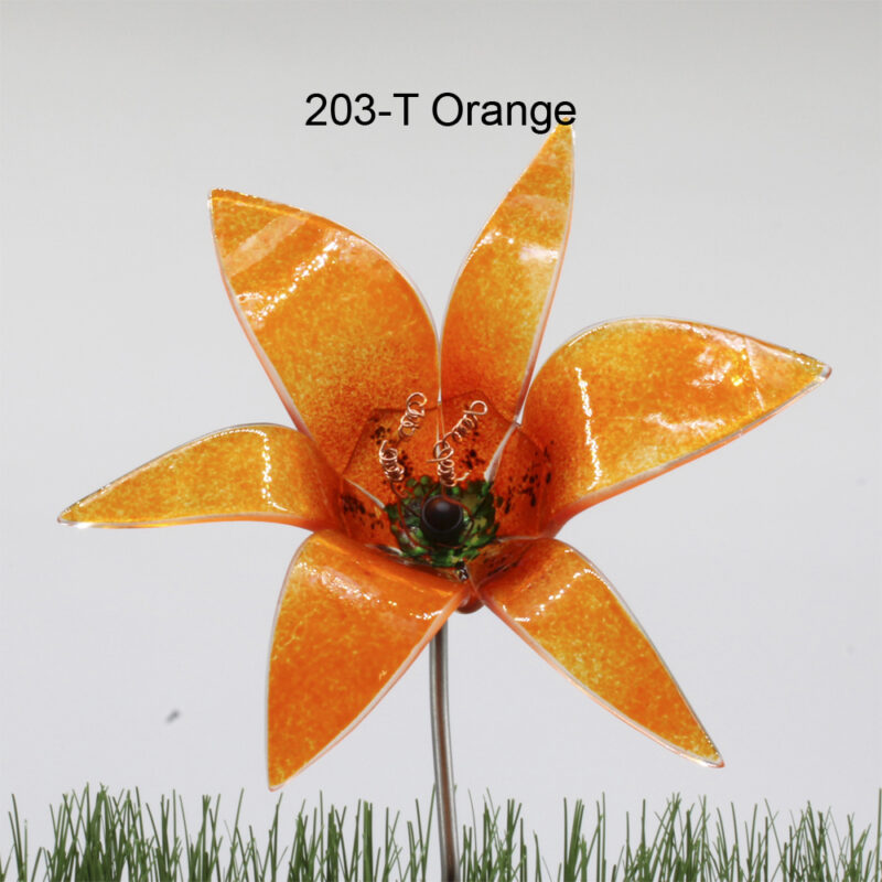 Orange glaslilje